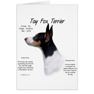 Speelgoed Fox Terrier Geschiedenis Ontwerp