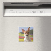 Speelgoed Fox Terriermagneet Magneet (Insitu (Vaatwasser))