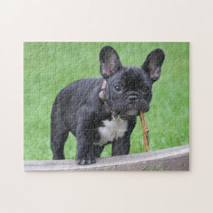 Speelgoed Franse bulldog Puppy Legpuzzel