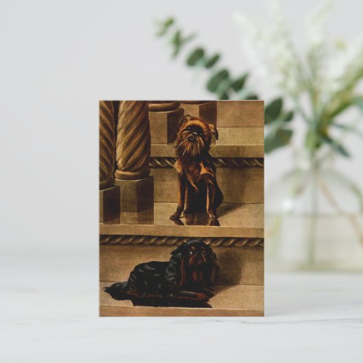  Speelgoed Honden Briefkaart (Staand voorkant)