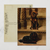  Speelgoed Honden Briefkaart (Voorkant / Achterkant)