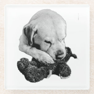 Speelgoed in Paws Glazen Onderzetter