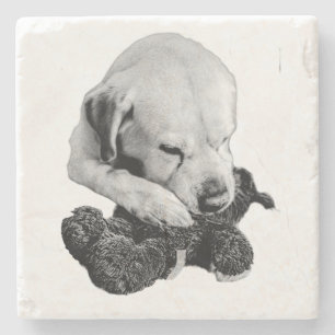 Speelgoed in Paws Stenen Onderzetter