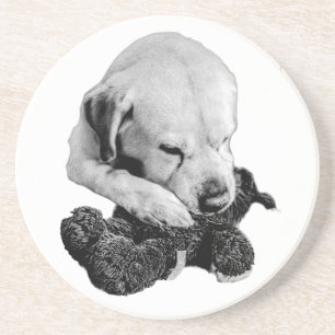 Speelgoed in Paws Zandsteen Onderzetter
