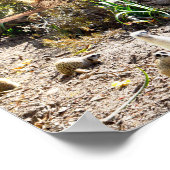 Speelgoed Meerkats Large Photo Collage Poster (Hoek)