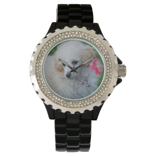 Speelgoed Poedel hond strass polshorloge Horloge (Voorkant)