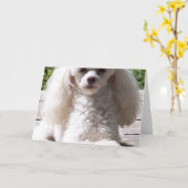 Speelgoed Poedel Wenskaarten Kaart (Gele Bloem)