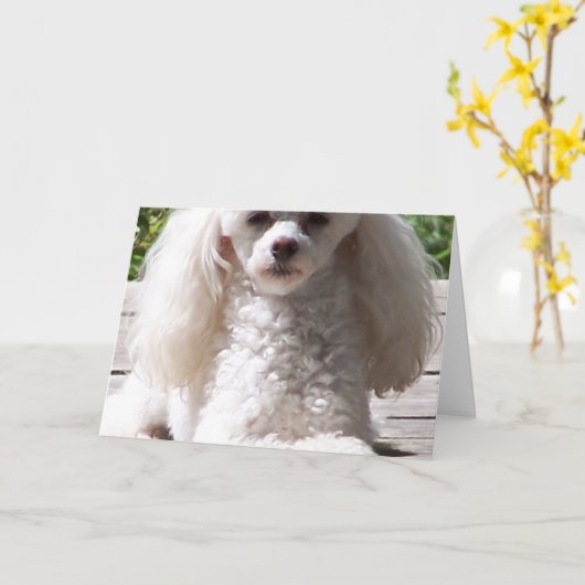 Speelgoed Poedel Wenskaarten Kaart (Gele Bloem)