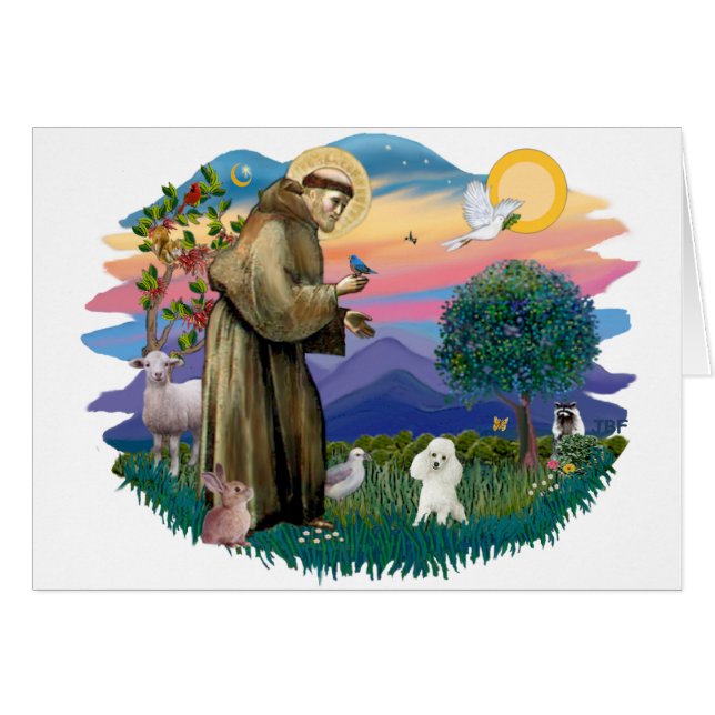 Speelgoed Poedel (wit) (Voorkant Horizontaal)