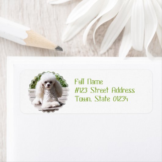 Speelgoed poel etiket (Insitu)