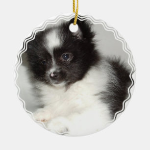 Speelgoed Pommeren Dog Ornament