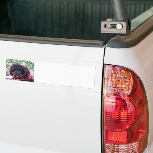 Speelgoed Poodle Black Bumpersticker (Op Truck)