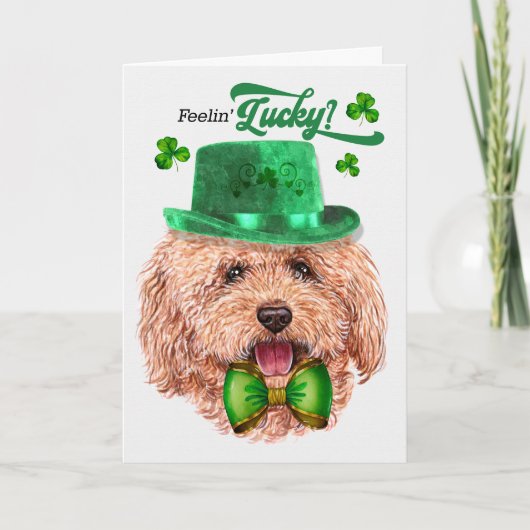 Speelgoed Poodle Dog Feelin' Lucky St Patrick's Da Feestdagen Kaart (Voorkant)