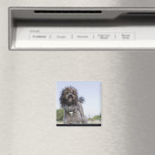 speelgoed poodle met t-shirt magneet (Insitu (Vaatwasser))