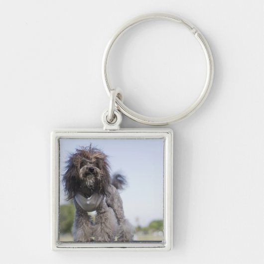 speelgoed poodle met t-shirt sleutelhanger (Voorkant)