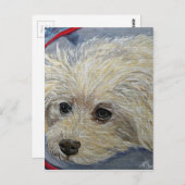 Speelgoed Poodle Painting - Cece Briefkaart (Voorkant / Achterkant)