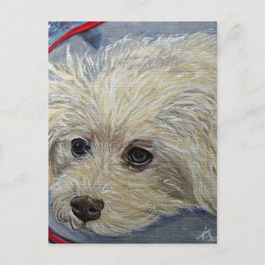 Speelgoed Poodle Painting - Cece Briefkaart (Voorkant)