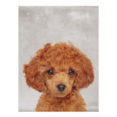 Speelgoed Poodle Poster (Voorkant)