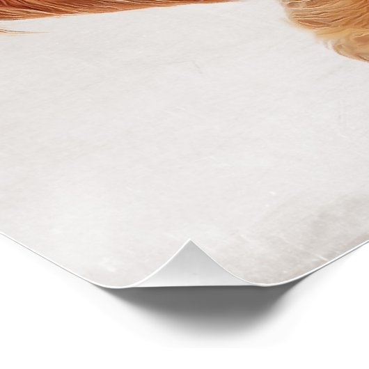 Speelgoed Poodle Poster (Hoek)