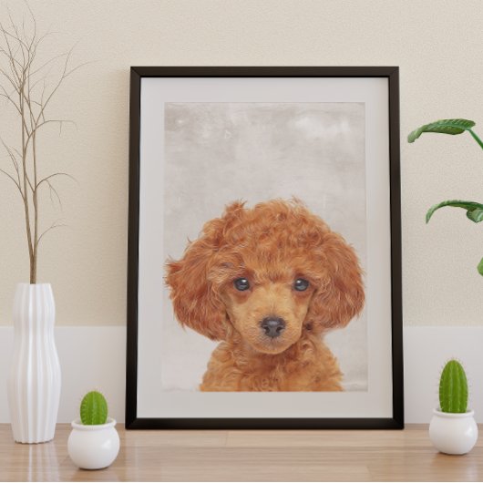 Speelgoed Poodle Poster
