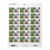 Speelgoed Poodle puppy adresetiketten Etiket (Full Sheet)