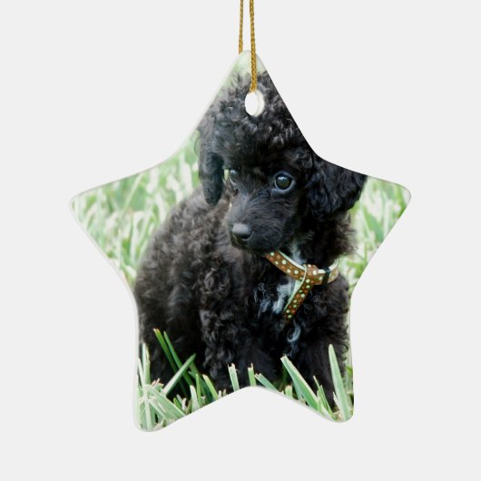 Speelgoed Poodle Puppy Keramisch Ornament (Rechts)