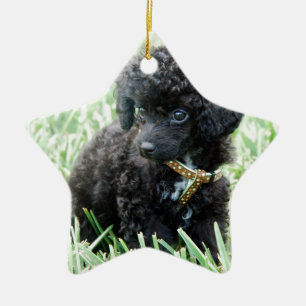 Speelgoed Poodle Puppy Keramisch Ornament