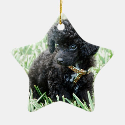Speelgoed Poodle Puppy Keramisch Ornament (Voorkant)