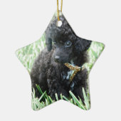 Speelgoed Poodle Puppy Keramisch Ornament (Links)