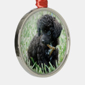 Speelgoed Poodle Puppy Metalen Ornament (Rechts)
