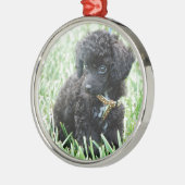 Speelgoed Poodle Puppy Metalen Ornament (Links)