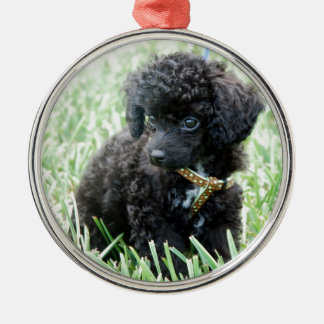 Speelgoed Poodle Puppy Metalen Ornament
