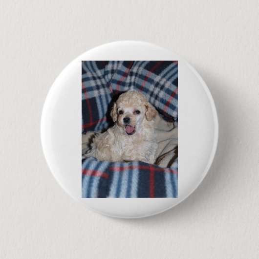 Speelgoed Poodle Puppy Talking Ronde Button 5,7 Cm (Voorkant)