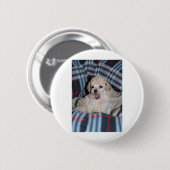Speelgoed Poodle Puppy Talking Ronde Button 5,7 Cm (Voorkant /achterkant)