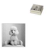 SPEELGOED POODLE RUBBER STAMP RUBBERSTEMPEL (Gestempeld)