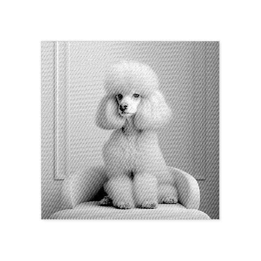 SPEELGOED POODLE RUBBER STAMP RUBBERSTEMPEL (Afrduk)