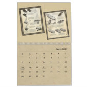 speelgoed uit de jaren 1950 - geïllustreerde cata kalender (Mar 2027)
