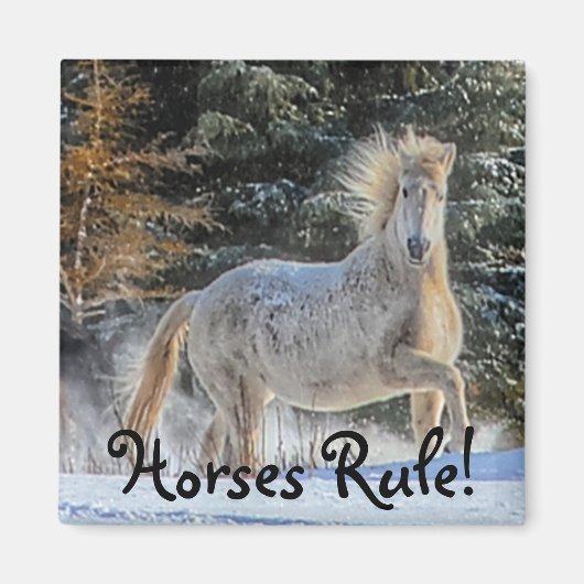 Speelgoed wit paard in Winter Snows Foto Magneet (Voorkant)