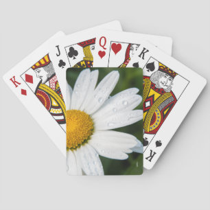 speelkaart foto, een margriet, groene achtergrond pokerkaarten