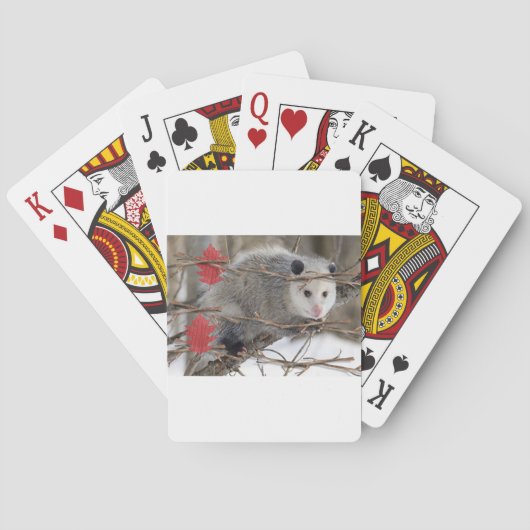 Speelkaartdek Opossum Natuur Pokerkaarten (Achterkant)