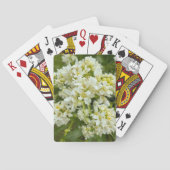 Speelkaarten (Achterkant)