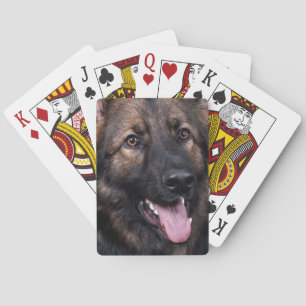Speelkaarten Duitse Herdershond Alsatian