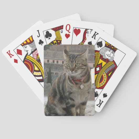 Speelkaarten Kat (Achterkant)