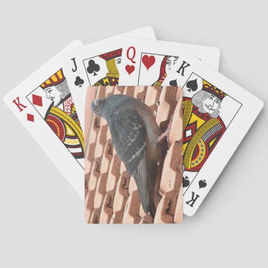 Speelkaarten met Duif op het Dak (Achterkant)