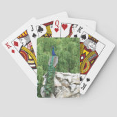 Speelkaarten Peacock in de tuin (Achterkant)