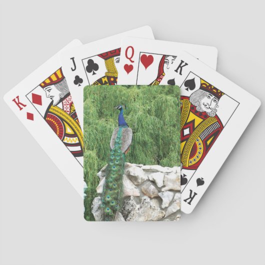 Speelkaarten Peacock in de tuin (Achterkant)