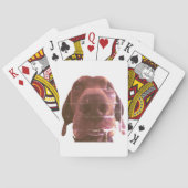 speelkaarten voor honden (Achterkant)