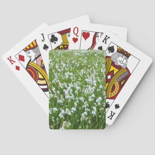 speelkaarten voor katoengras (Achterkant)