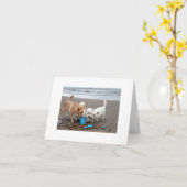 Speelkwartier op het Strand Kaart (Gele Bloem)