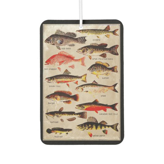  speelruimte voor gamevis, dubbelzijdig luchtverfrisser (Voorkant)